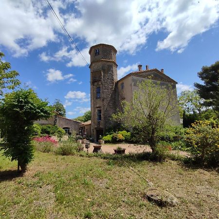 Chateau Saint-Martin カルカソンヌ エクステリア 写真