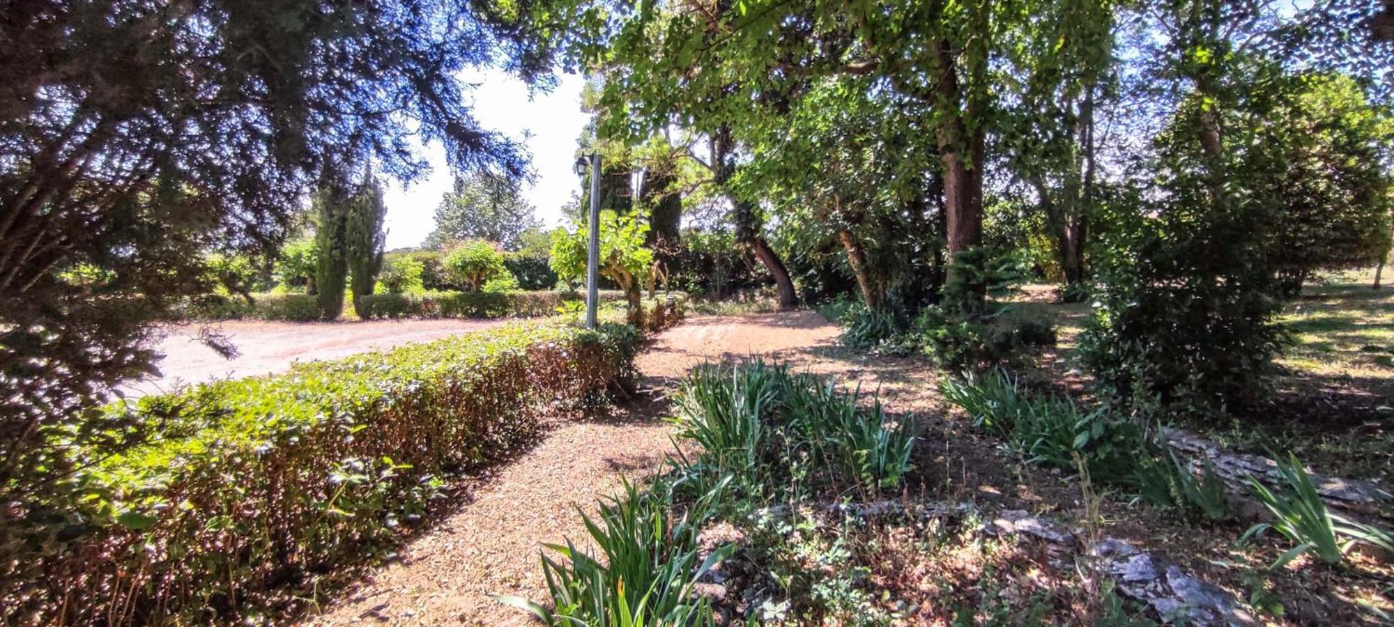 Chateau Saint-Martin カルカソンヌ エクステリア 写真