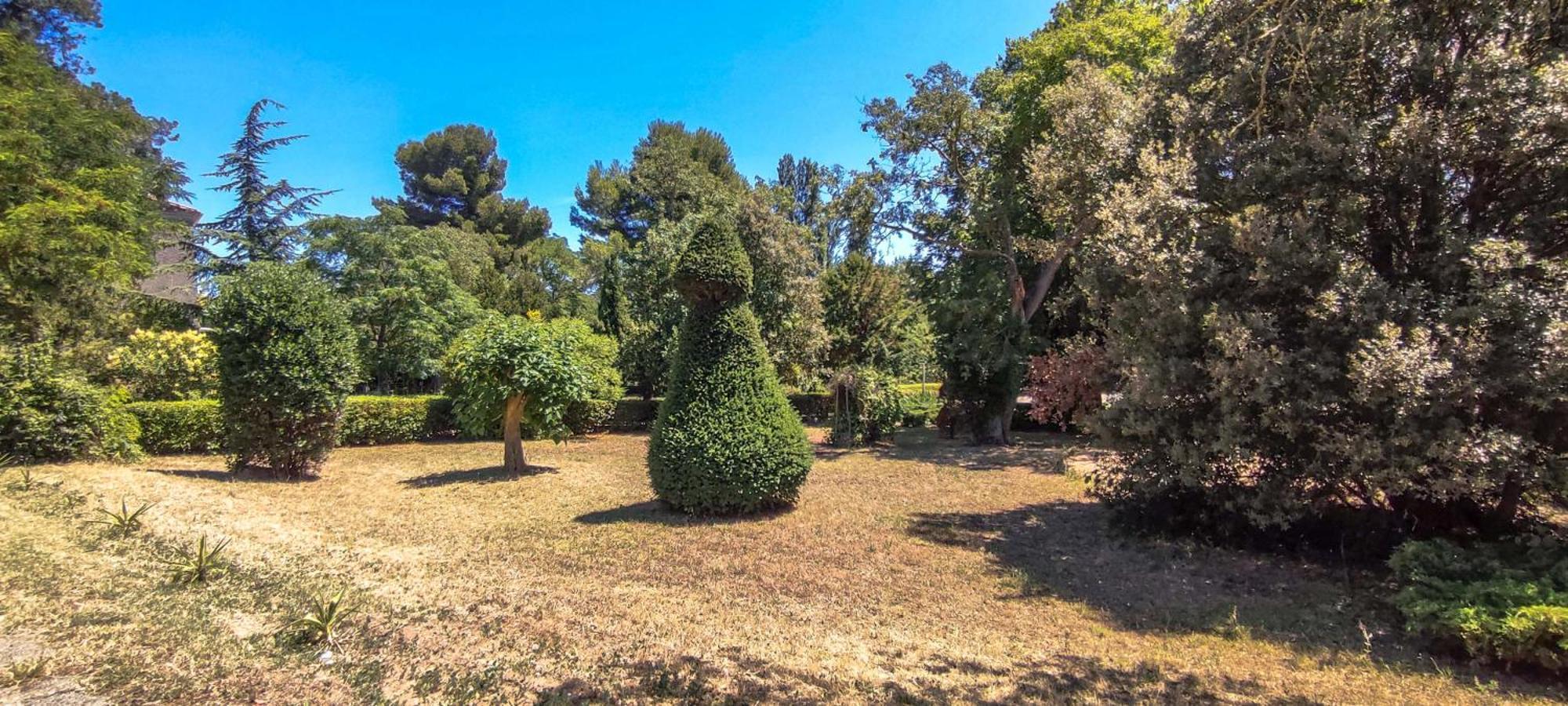 Chateau Saint-Martin カルカソンヌ エクステリア 写真