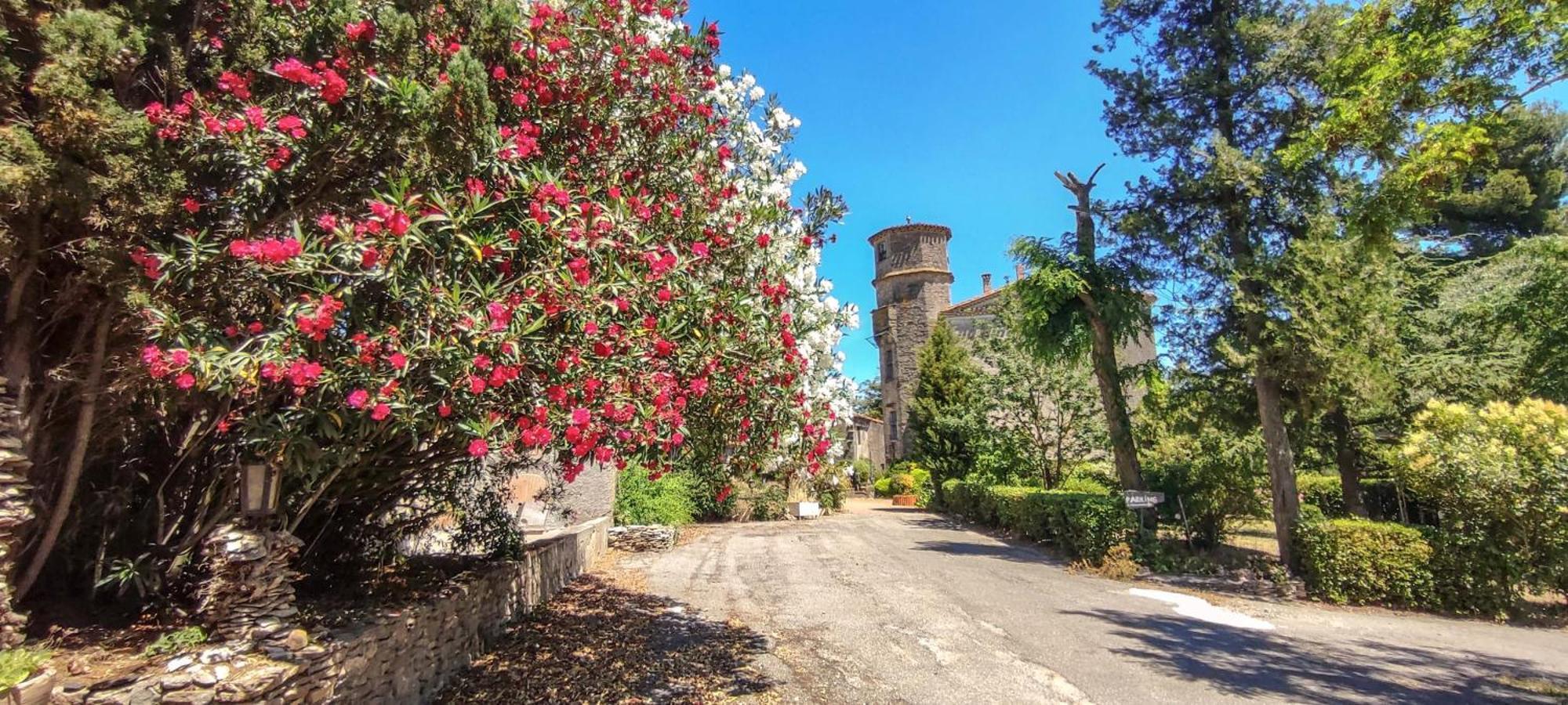 Chateau Saint-Martin カルカソンヌ エクステリア 写真